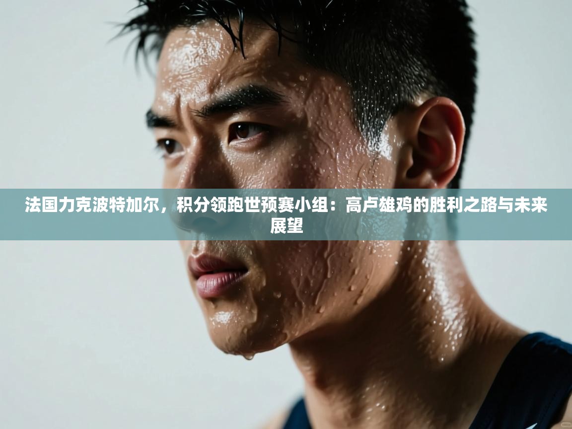 法国力克波特加尔，积分领跑世预赛小组：高卢雄鸡的胜利之路与未来展望  第2张