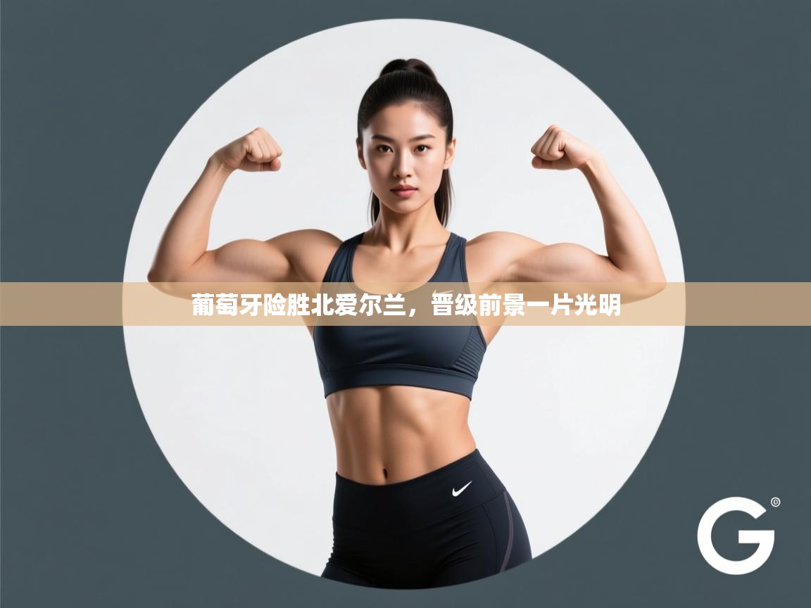 葡萄牙险胜北爱尔兰,晋级前景一片光明 第2张